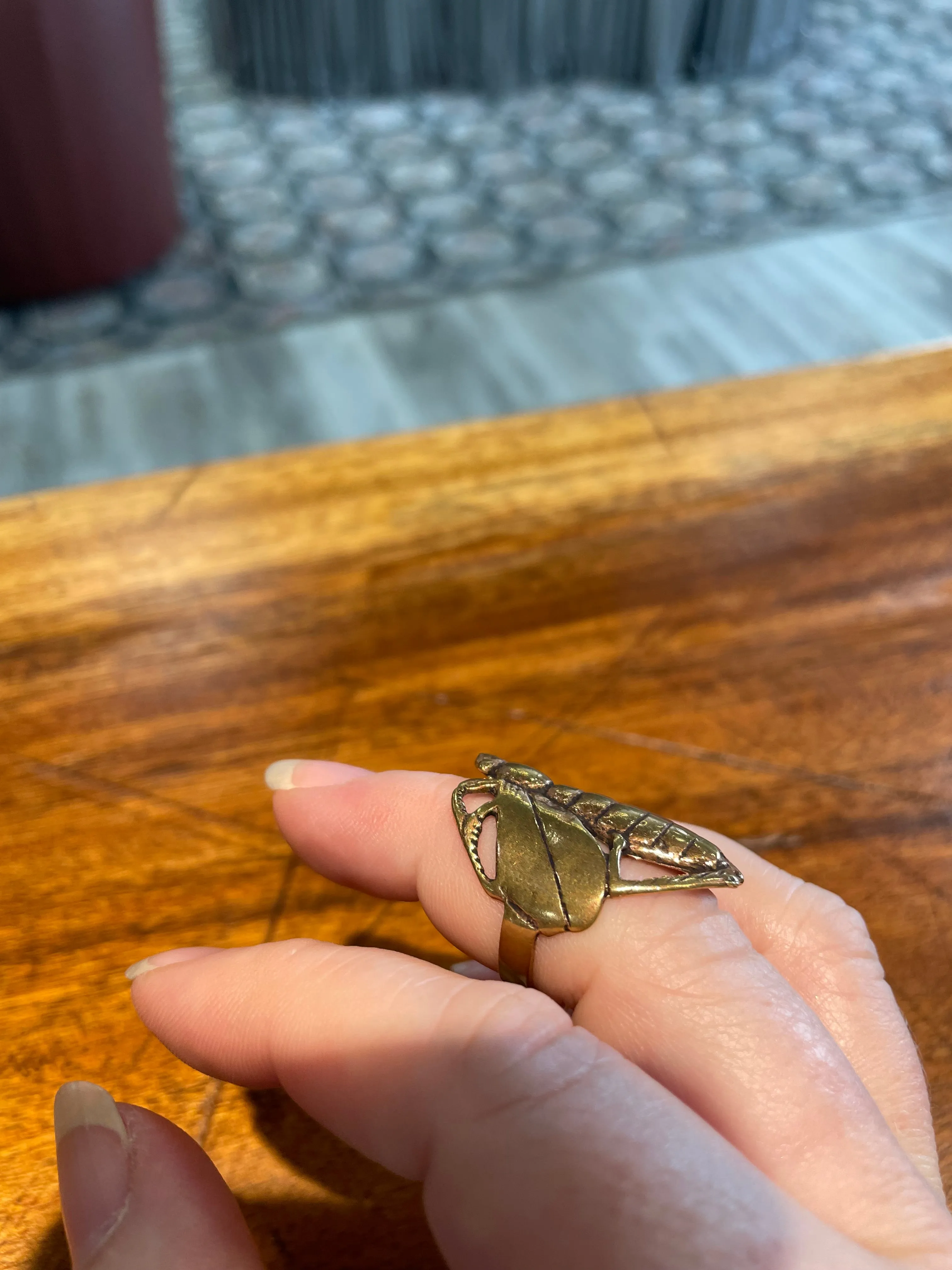 Locust Love Ring in Bronze