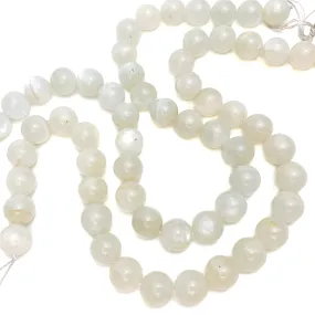 Moonstone Sri Lanka 12mm Smooth Rounds Bead Strand