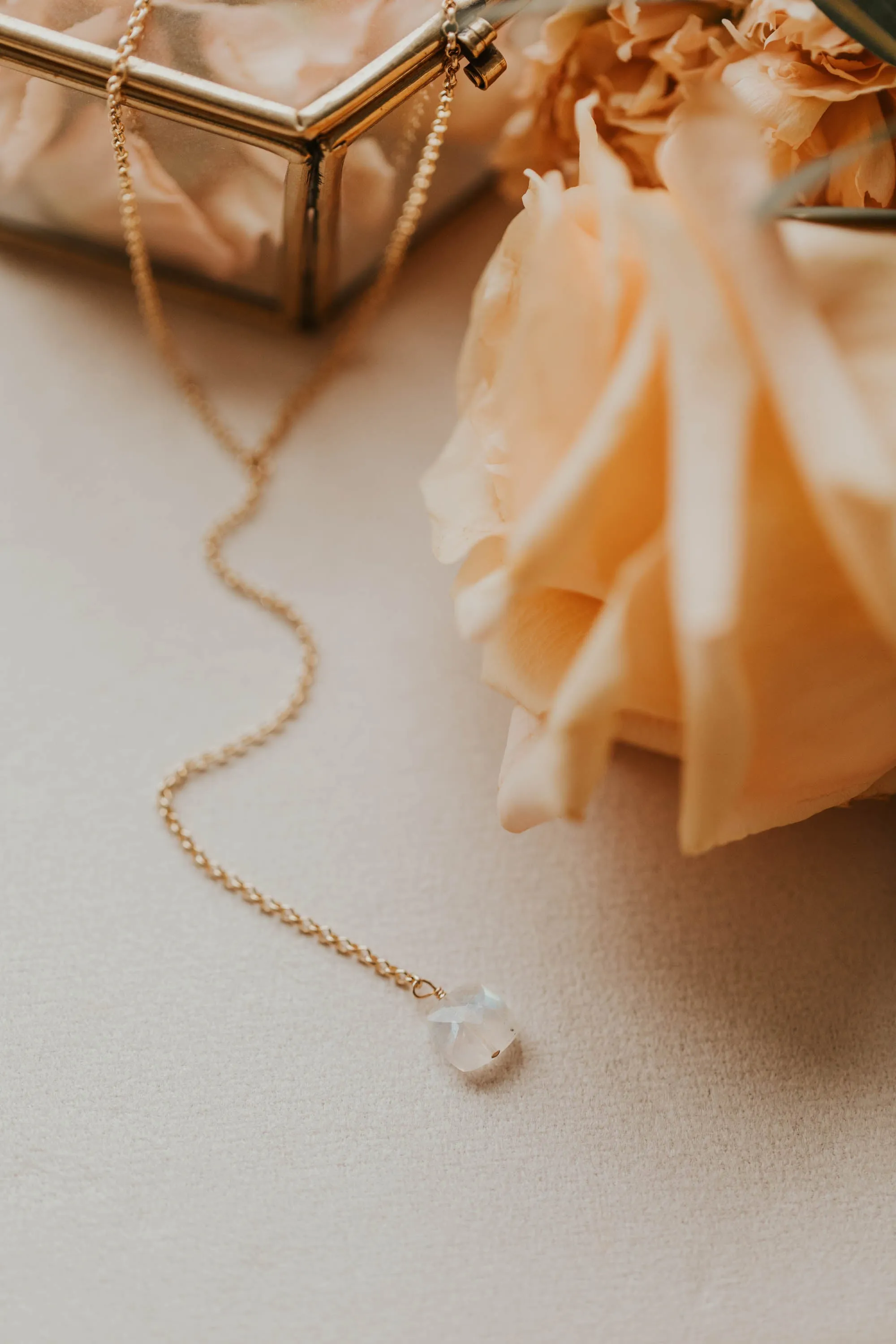 Moonstone   Tiny Rollo Y Necklace